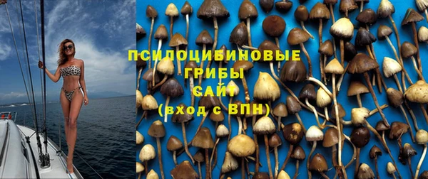 ALPHA PVP Богородицк