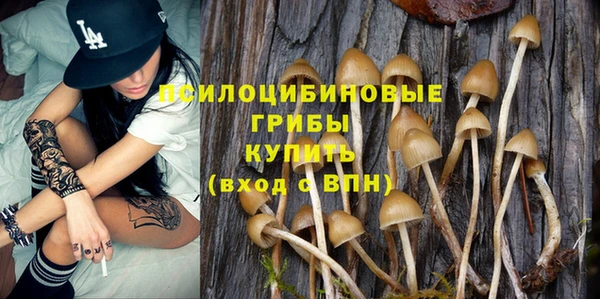 прущие крисы Бугульма
