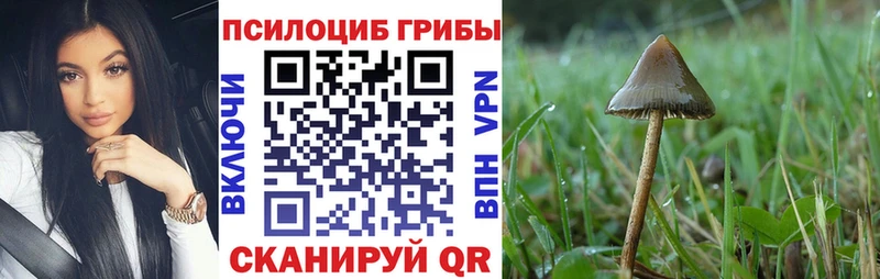 Псилоцибиновые грибы прущие грибы  сайты даркнета как зайти  Нариманов 